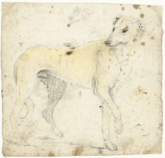 Study of a running dog, c.1626-before 1662. Creator: Gerard ter Borch I.