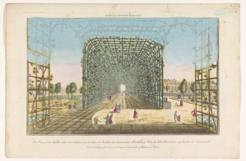 View of the foliage of the Governor's garden in Pondicherry, 1735-1805. Creator: Unknown.