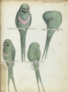 Lovebirds, 1785-1786. Creator: Jan Brandes.