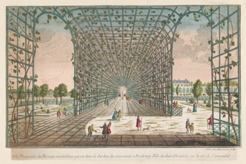 View of foliage in the Governor's garden, Pondicherry, 1745-1775. Creator: Anon.