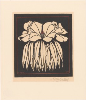 Godetia, 1919. Creator: Julie de Graag.
