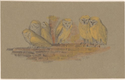 Greeting card with six owls, 1890. Creator: Theo van Hoytema.