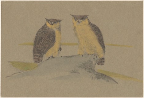 Greeting card with two owls, 1890. Creator: Theo van Hoytema.