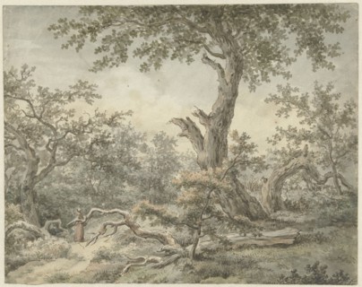 Forest landscape, 1756-1826. Creator: Cornelis Buys.