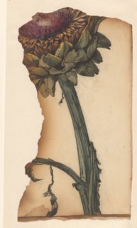 Sunflower (snippet), 1887-1924. Creator: Julie de Graag.