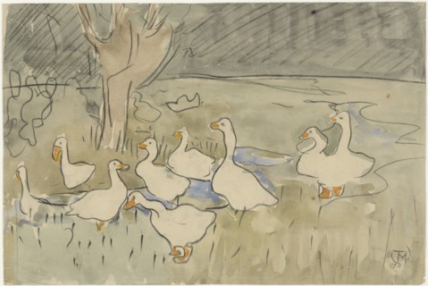 Ducks, 1873-1917. Creator: Theo van Hoytema.