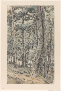 Forest landscape, 1873-1932. Creator: Willem Steenhoff.
