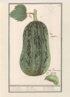 Pumpkin (Cucurbita pepo), 1596-1610. Creators: Anselmus de Boodt, Elias Verhulst.
