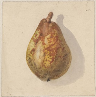 Pear, 1836-1895. Creator: Gerardina Jacoba van de Sande Bakhuyzen.