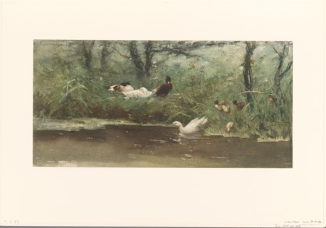 Ducks on canal bank, 1844-1910. Creator: Willem Maris.