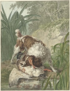 Hunting dog catches a duck, 1754-1831. Creator: Wybrand Hendriks.