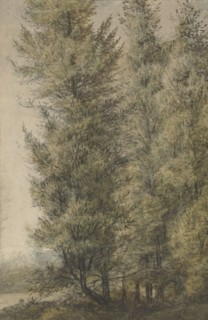 Tall pines on the edge of a forest, 1619-1690. Creator: Anthonie Waterloo.
