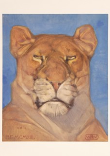 Head of a lioness, 1866-1939. Creator: Bernard Willem Wierink.