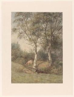 Forest landscape with cows, near Wolfheze, 1884. Creator: Cato Kool.