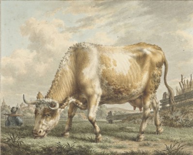 Grazing Cow, 1783. Creator: Jacob Cats.