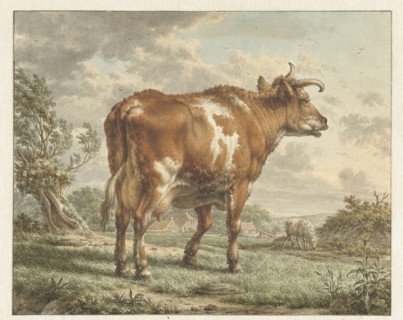 Red-and-white cow in a landscape, 1783. Creator: Jacob Cats.