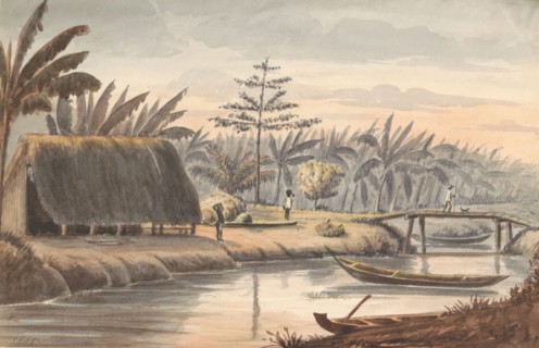 Plantation Visserszorg with banana field, 1859. Creator: Jacob van Geffen.