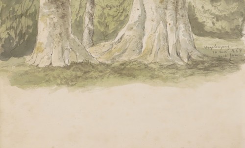 Tree trunks, 1868. Creator: Johannes Tavenraat.