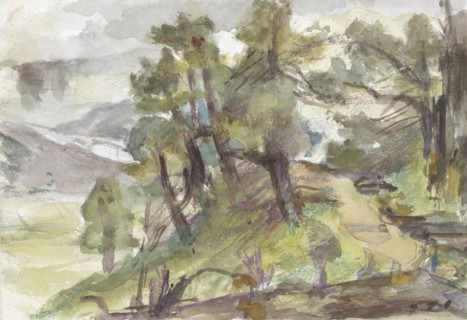Wooded hilly landscape, 1834-1911. Creator: Jozef Israels.