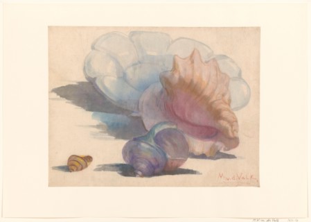 Three shells with a Delft folding dish, 1867-1935. Creator: Maurits Willem van der Valk.