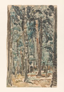 Forest view, 1873-1932. Creator: Willem Steenhoff.