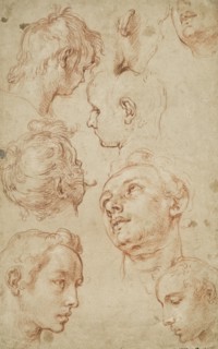 Eight studies of male heads. Creator: Abraham Bloemaert.