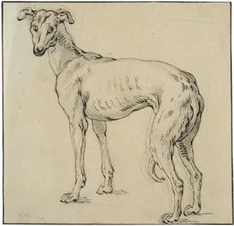 Greyhound. Creator: Abraham Bloemaert.