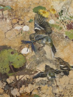Chaffinches and Dragonflies. Five studies in one frame, 1885. Creator: Bruno Liljefors.