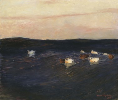 Eider Ducks, 1894. Creator: Bruno Liljefors.