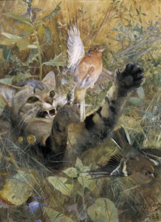 A Cat and a Chaffinch. Five animal studies in one frame, 1885. Creator: Bruno Liljefors.