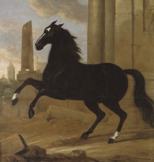 Favourite, one of King Karl XI's riding horses, 1689. Creator: David Klocker Ehrenstrahl.