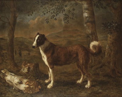 Dog and a Birch Log. Creator: Govert Dircksz Camphuysen.