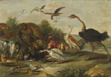 Battle between Owls and Quadrupeds. Creator: Jan van Kessel.