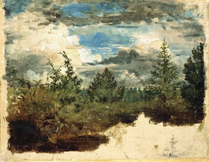 A Wooded Hillside. Study. Creator: Kilian Christoffer Zoll.