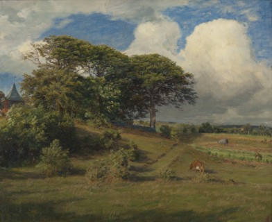 Beeches at the Dagsås Church, Halland, 1891. Creator: Niels Skovgaard.