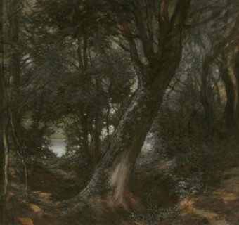 In the Forest. Creator: Egron Sellif Lundgren.
