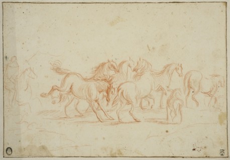 Horses, unknown date. Creator: Anon.