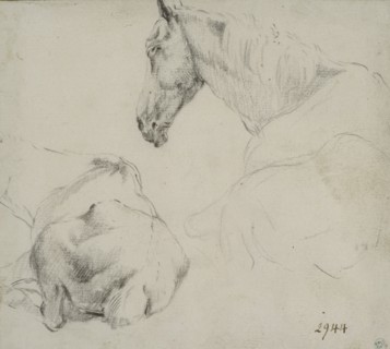 Studies of a horse lying down. Creator: Adriaen van de Velde.