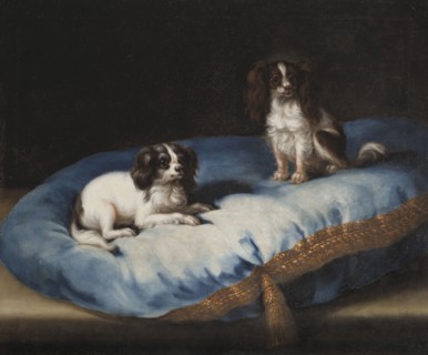 Two smaller dogs, c17th century. Creator: David Klocker Ehrenstrahl.