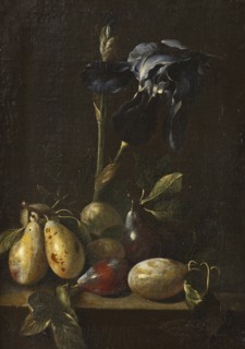 Still Life with an Iris and Plums. Creator: Attributed to Pietro Paolo Bonzi  (1576-1636).