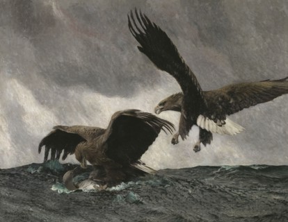 Sea Eagles, 1897. Creator: Bruno Liljefors.
