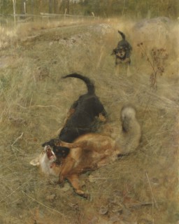 Swedish Foxhound and Fox, 1885. Creator: Bruno Liljefors.