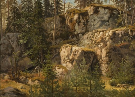 Stony Forest, 1853. Creator: Markus Larsson.