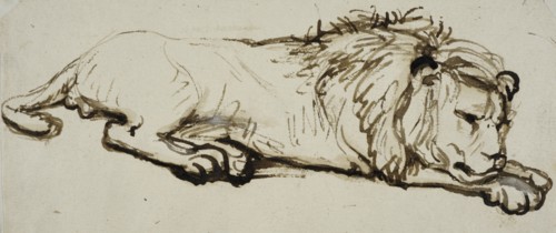 Sleeping lion. Creator: Rembrandt Harmensz van Rijn.