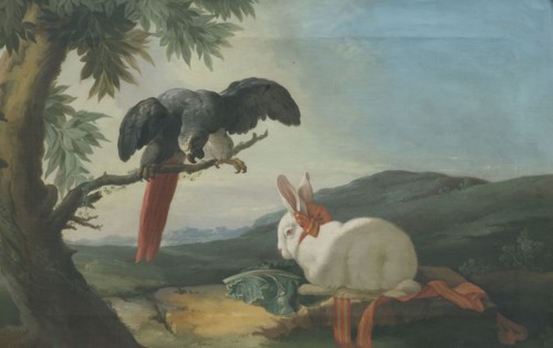 Parrot and Rabbit, 1750s. Creator: Johan Pasch.