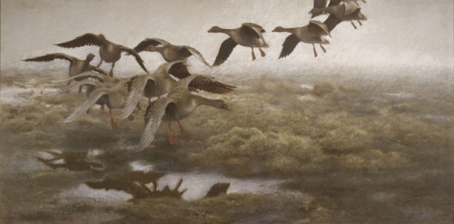 Wildgeese Settling, 1907. Creator: Bruno Liljefors.