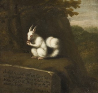 White Squirrel in a Landscape, 1697. Creator: David Klocker Ehrenstrahl.