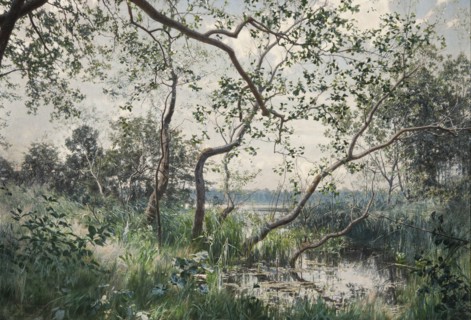 Aquatic Vegetation - Motif from Ostergotland, 1885. Creator: Johan Krouthén.