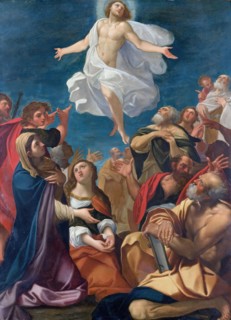 Ascension of Christ, c1640. Creator: Jacopo Cavedone.