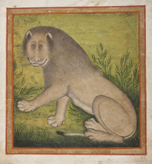 Lion (image 1 of 4), c1800. Creator: Unknown.